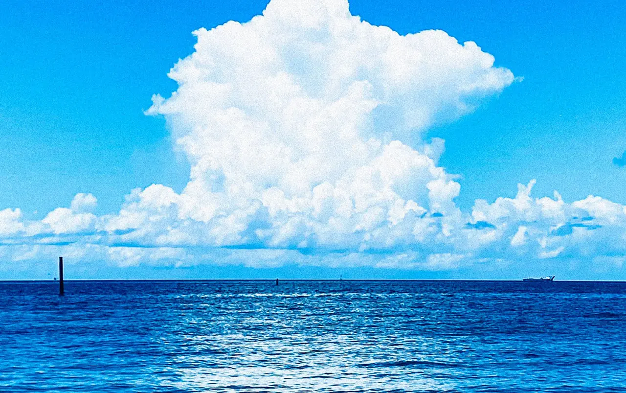 農業生産法人 株式会社 もとぷらす