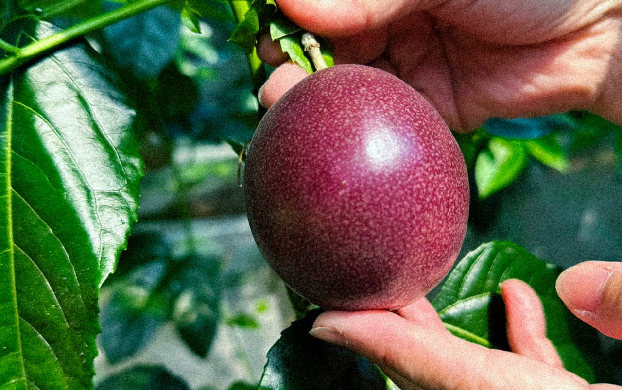 もとぷらす商品の紹介